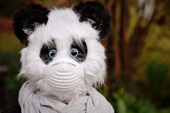 BitReels Casino Ënnerstëtzung